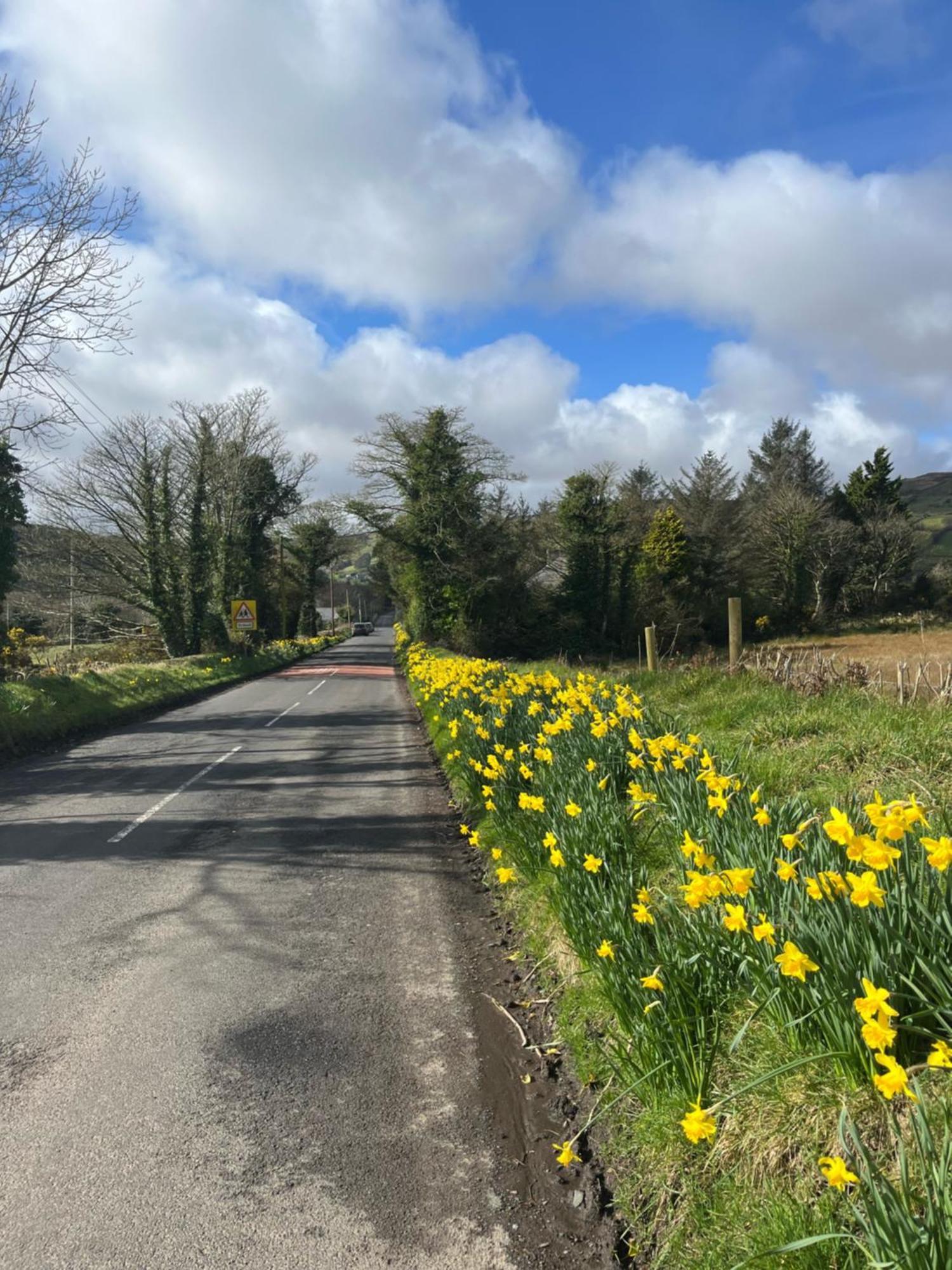 Tavnaghoney Cottages Cushendall Eksteriør billede