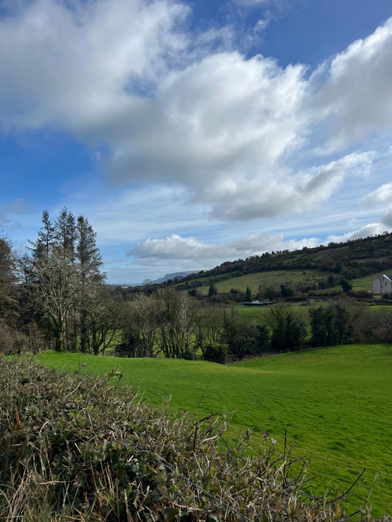 Tavnaghoney Cottages Cushendall Eksteriør billede